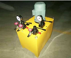 潍坊非标电动泵生产